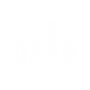 Contributors